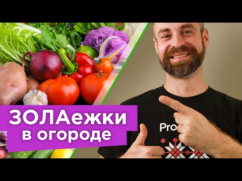 Видео: ЭТИ РАСТЕНИЯ ОБОЖАЮТ ЗОЛУ! Подкормите их особым зольным настоем и собирайте урожай ведрами