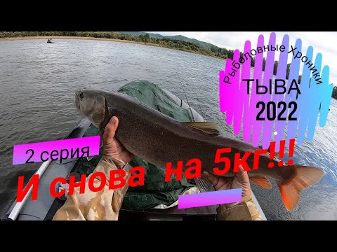 Видео: БЕШЕНЫЙ КЛЁВ ТАЙМЕНЯ И ЛЕНКА!!!/ТЫВА 2022!!!/2 СЕРИЯ/КЛЁВ С КАЖДОГО ЗАБРОСА!!!/РЫБАЛКА НА БЛЕСНУ!!!