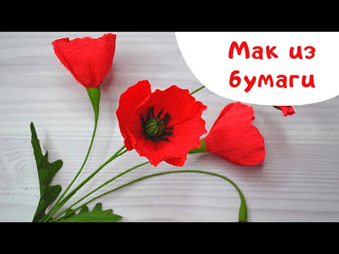 Видео: Мак из гофрированной бумаги / Полевые цветы  DIY / How to make  poppy