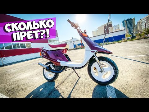 Видео: YAMAHA CHAMP "СТАНТИЛО" | НИШТЯКИ MALOSSI, ATHENA | ПРОБУЮ ВЫЖАТЬ МАКСИМАЛКУ | #5