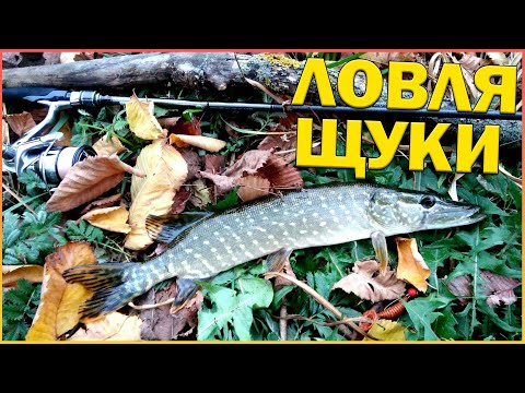 Видео: Рыбалка на спиннинг. Ловля щуки на реке Северский Донец