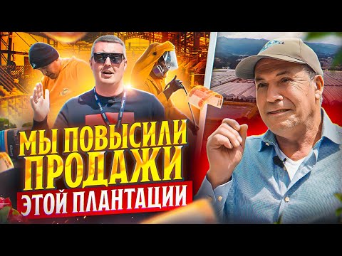 Видео: Самая знаменитая плантация Эквадора | Garda Export | Цветы оптом