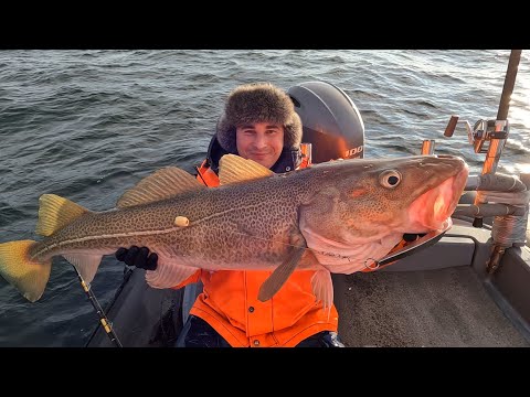 Видео: СЕВЕРНОЕ МОРЕ БОГАТО РЫБОЙ / РЫБАЛКА МЕЧТЫ / THE NORTH SEA IS RICH IN FISH / DREAM FISHING