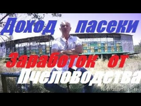 Видео: Заработок на пчёлах.Можно ли жить от пчеловодства.Доход от пчел.