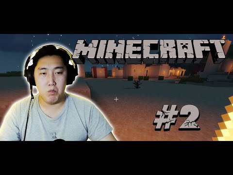 Видео: ЧИХРИЙН НИШИНГЭ | Minecraft #2