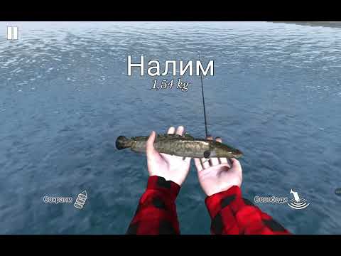 Видео: 24 октября 2025 г.