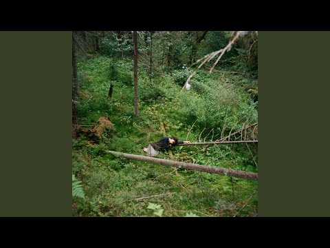 Видео: ангел