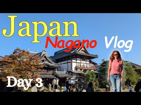 Видео: Еще один влог из Японии. Полдня в Нагано 🏯🇯🇵
