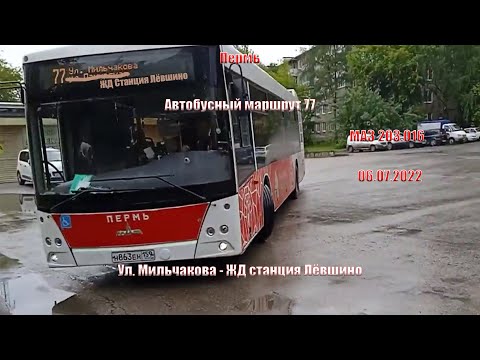 Видео: Пермь | Автобусный маршрут 77 | МАЗ 203.016 | Ул. Мильчакова - ЖД станция Лёвшино | 06.07.2022