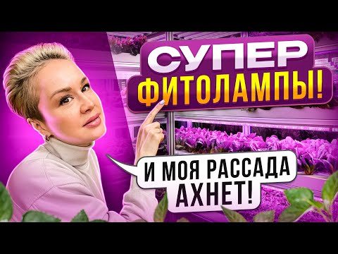 Видео: ЭТО ЛУЧШИЕ ЛАМПЫ ДЛЯ СТЕЛЛАЖА С РАССАДОЙ