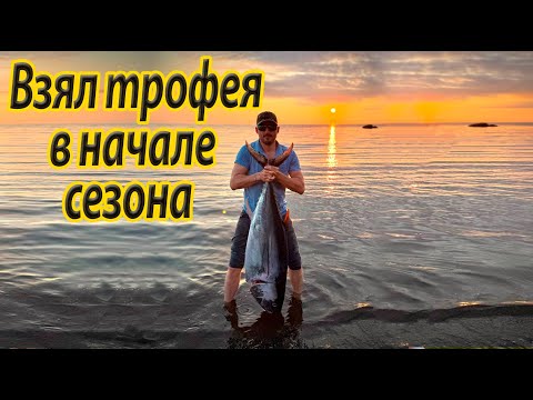 Видео: Поймал рыбу на 35 кг 😲