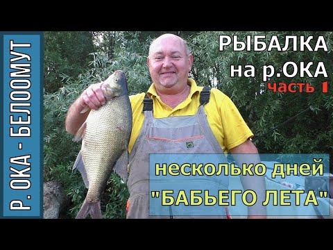 Видео: Рыбалка на Оке в Белоомуте, 1 часть, Фидер, Лещ, несколько дней "Бабьего лета", сентябрь 2018г.
