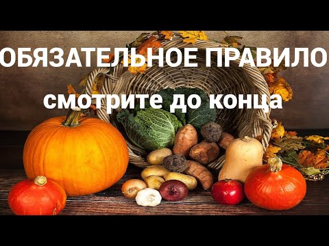 Видео: О БИОФЕРМЕНТАТОРЕ. БАРМАТУХА уходит в спячку.❗️Не пропустите главное❗️ - смотрите до конца❗️