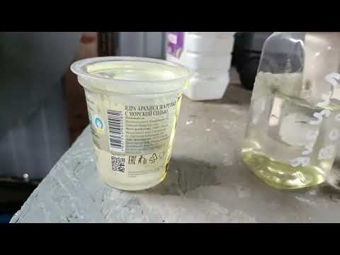 Видео: Ещё раз про питание ежевики и малины. 0208.2025