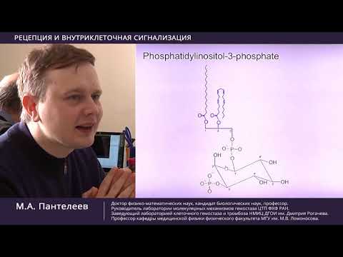 Видео: Рецепция и внутриклеточная сигнализация. Часть 2-я.