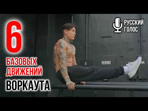 Видео: 6 КОРОЛЕВСКИХ ДВИЖЕНИЙ для базы воркаута | советы КРИСА ХЕРИА