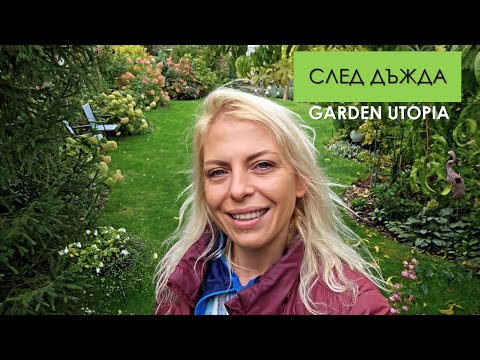 Видео: ОБИКОЛКА на ХАОТИЧНАТА градина: #Ден 39 от 90 ДНИ НА СЕЛО