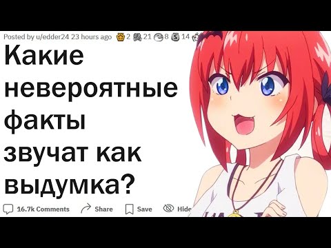 Видео: В какие истинные факты невозможно поверить?