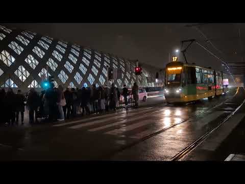 Видео: Avenida вечером