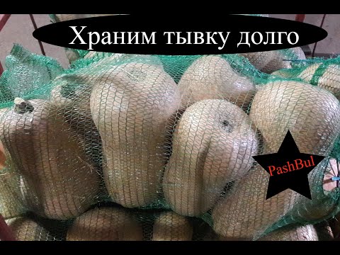 Видео: Как сохранить тыкву долго... How to keep pumpkin long ...