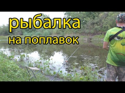 Видео: Дочка обловила супер рыбака!