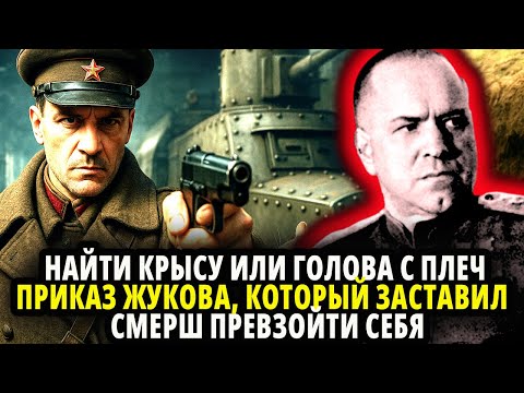Видео: НАЙТИ КРЫСУ ИЛИ ГОЛОВА С ПЛЕЧ  - ПРИКАЗ ЖУКОВА, КОТОРЫЙ ЗАСТАВИЛ  СМЕРШ ПРЕВЗОЙТИ СЕБЯ