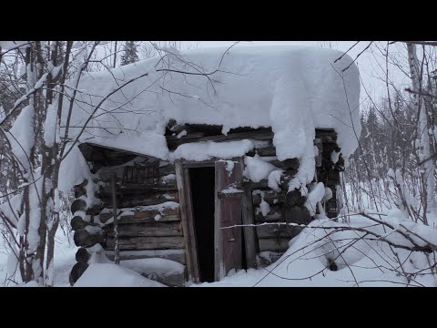 Видео: Приехал на Урале за лесом... А там заброшенная избушка.