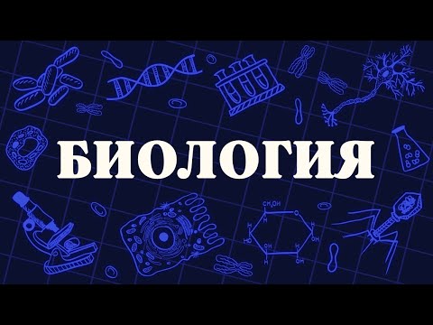 Видео: ВСЯ биология за 20 МИНУТ