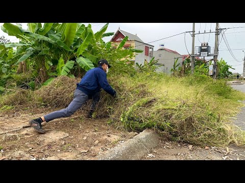 Видео: ХВАТИТ игнорировать траву и мусор на тротуаре! Вы не поверите последствиям!