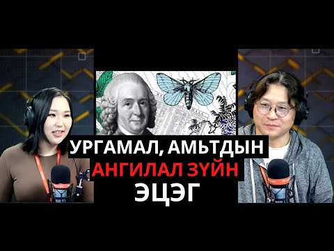 Видео: Нөгөө тал | 2025-01-07 | Ангилал зүйн эцэг