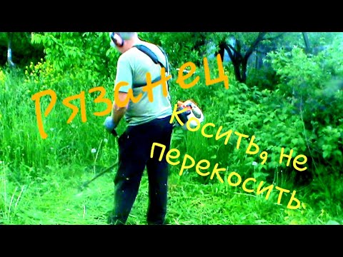 Видео: Романтика косорей. Хрюни.