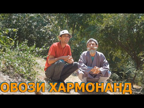 Видео: ШОГИРДИ ХАР ОВОЗОТ НАМЕША.