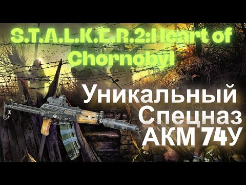 Видео: Химера VS Спецназ АКМ 74У Бронебойный Патрон 5.45х39 ММ  S.T.A.L.K.E.R.2:Heart of Chornobyl