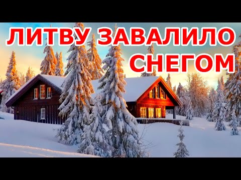 Видео: Литву завалило снегом ❄️❄️❄️