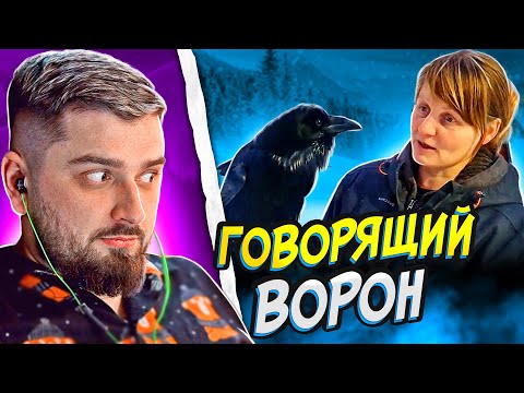 Видео: HARD PLAY СМОТРИТ CUBE / РЕАКЦИЯ ХАРД ПЛЕЙ СМЕШНЫЕ ВИДЕО, ТЕСТ НА ПСИХИКУ, ЮМОР, КУБЫ и ПРИКОЛЫ 2022