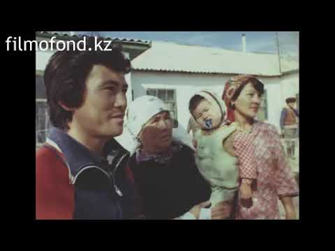 Видео: Советский Казахстан, овцеводство, 1988 год