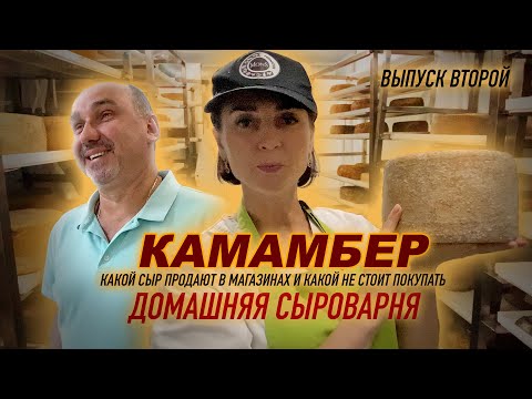 Видео: Как сделать превосходный КАМАМБЕР. Какой СЫР покупать нельзя. Домашняя сыроварня.