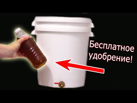 Видео: ТЕПЕРЬ УДОБРЕНИЯ НЕ ПОКУПАЮ А ДЕЛАЮ САМА! 2 ВОЛШЕБНЫХ УДОБРЕНИЯ ПОЧТИ ЗАДАРОМ!
