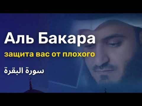 Видео: «Сура Бакара» очень красивое приятное чтение корана