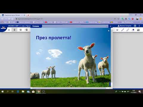 Видео: околен свят 13 05