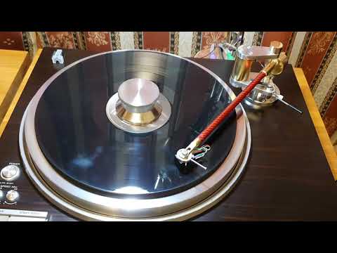 Видео: Магнитный тонарм Шредера
