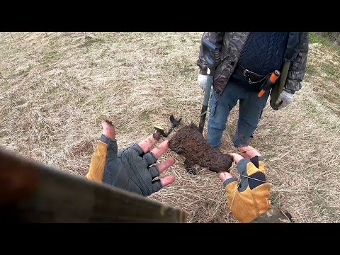 Видео: Морковкой Ее прикорми!    АКА  Интроник.. Реальный коп..