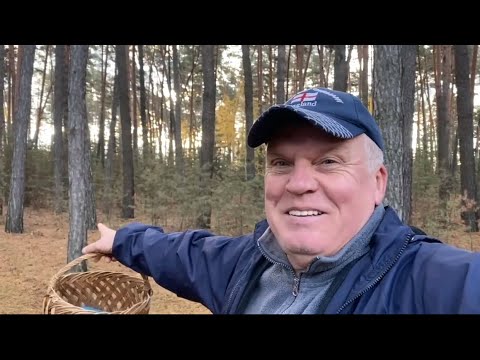 Видео: Утренняя встреча молодят! Как же он нас манит! По старым злачным местам с грибной 🍄‍🟫 проверкой!