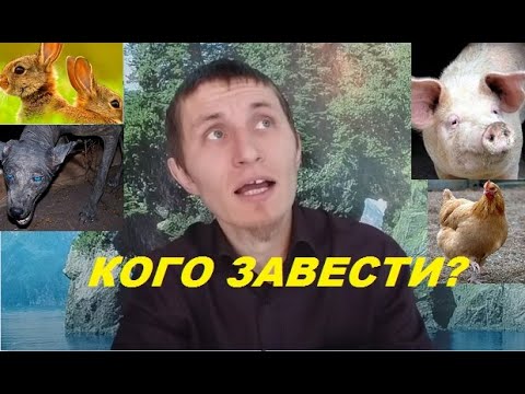 Видео: Какие животные лучше для самообеспечения?