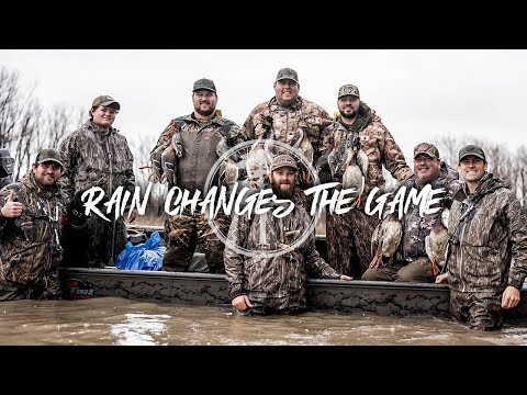 Видео: Утиная охота: ТЫСЯЧИ уток возвращаются после ледохода