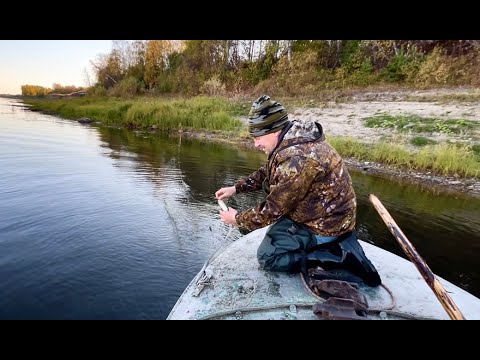 Видео: Сети «кишат» рыбой. Добыл утку. Рыбалка на Крайнем Севере.
