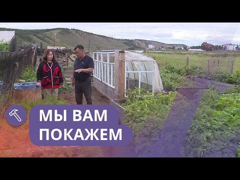 Видео: Мы вам покажем: Результаты урожайного сезона