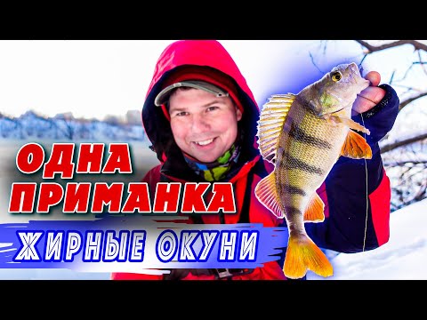 Видео: Ловля на Джиг Риг | Крупный окунь | ТОП приманка | Рыбалка 2022