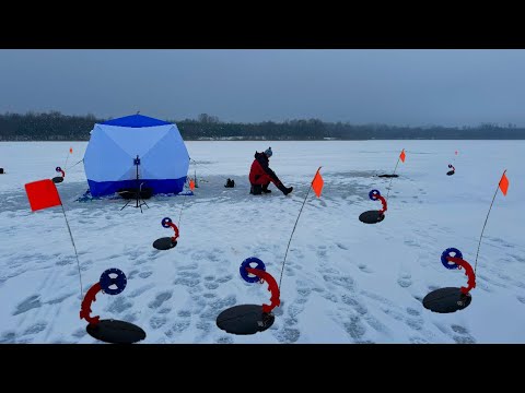 Видео: ЩУКА СОШЛА С УМА !!!  ЗИМНЯЯ РЫБАЛКА НА ЖЕРЛИЦЫ, ПОДВОДНАЯ СЪЕМКА, РОЖДЕСТВО НА ЛЬДУ