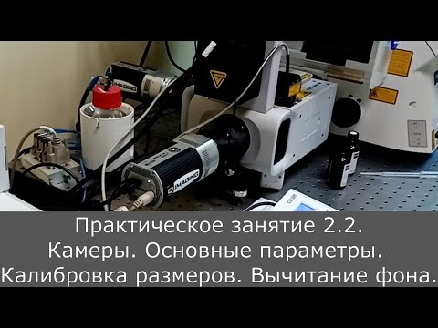Видео: Оптическая микроскопия. Практика 2.2.